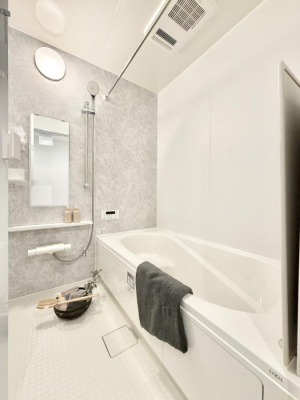 ���� �����������F�����̕ǖʁA�������A������芰����o�X���[���B  