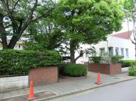 ӊ ctEۈ牀 500m ܂ct