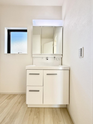 ���ʑ�E���ʏ� ���������̏������X���[�Y�ɂł���L���ł�