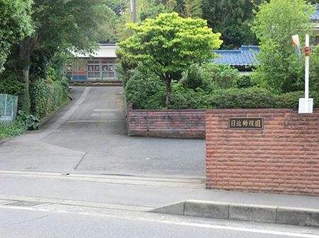 ӊ ctEۈ牀 800m ict