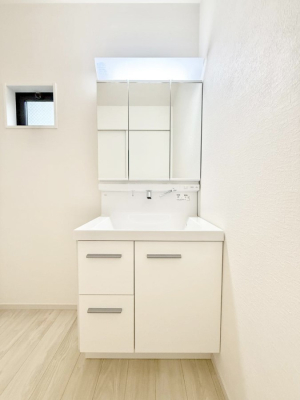 ���ʑ�E���ʏ� �������������Ő������̂�����ʏ�