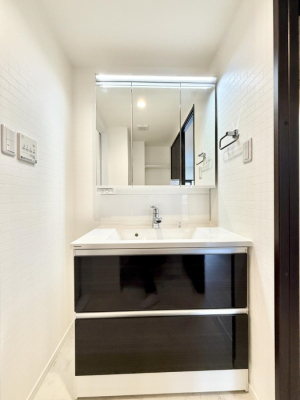 ���ʑ�E���ʏ� ���������̏������X���[�Y�ɂł���L���ł�