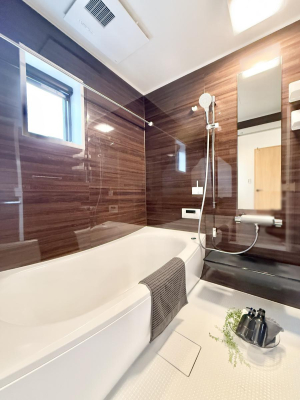 ���� �����������������F�����̕ǖʁA�������A������芰����o�X���[���B  