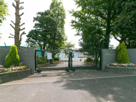 ӊ wZ 560m ls吳wZ