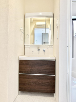 ���ʑ�E���ʏ� ������������������A�C�����悭�g���܂�