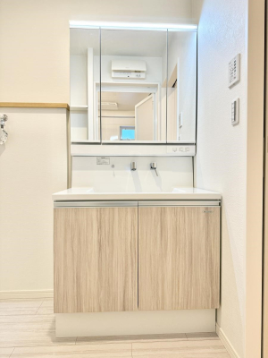 ���ʑ�E���ʏ� ���������̏������X���[�Y�ɂł���L���ł�