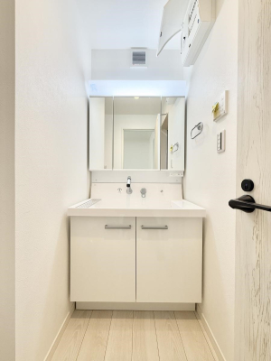 ���ʑ�E���ʏ� ���������̏������X���[�Y�ɂł���L���ł�