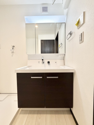 ���ʑ�E���ʏ� ���������̏������X���[�Y�ɂł���L���ł�