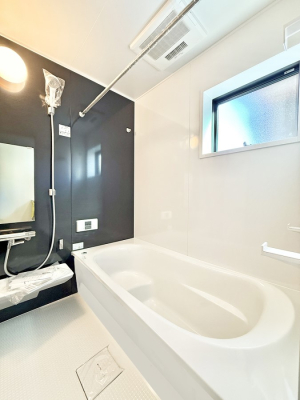 ���� ����