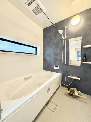 ���� �����������������F�����̕ǖʁA������芰����o�X���[��