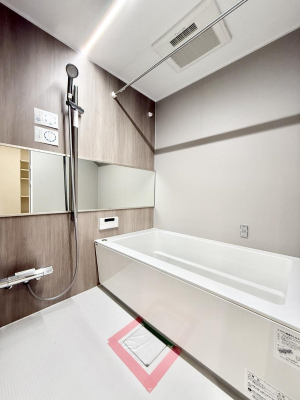 ���� �������������A������芰����o�X���[��