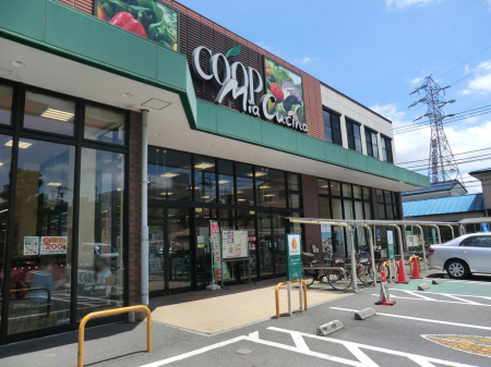 ӊ X[p[ 800m [R[v ~AN`[igX