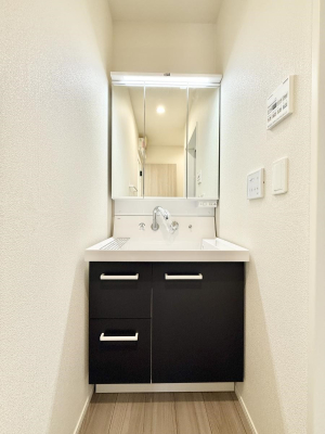 ���ʑ�E���ʏ� ���������̏������X���[�Y�ɂł���L���ł�