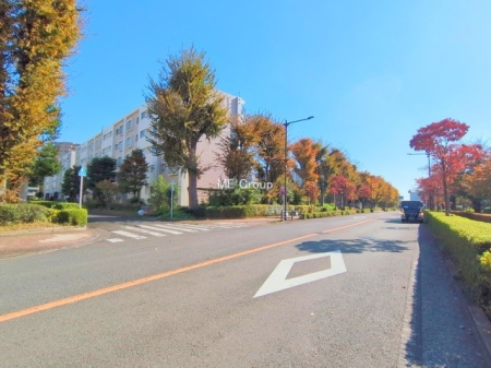 nOώʐ^ OρƑƂ̂oyȂł