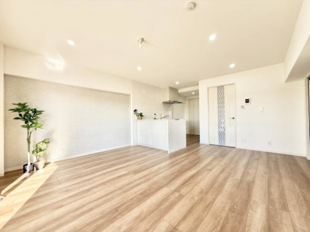 ���̑����� ����