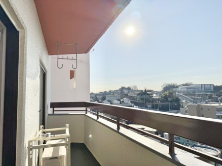 �o���R�j�[ ����