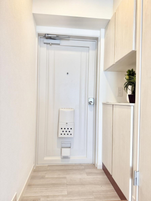 ���� ����