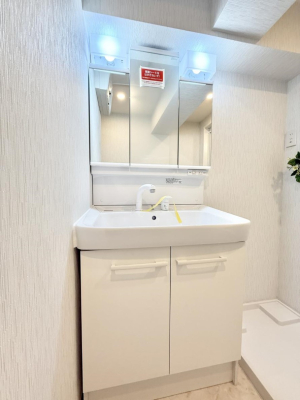 ���ʑ�E���ʏ� ����