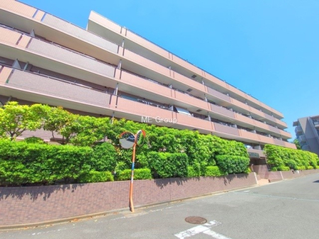 ���n�O�ώʐ^ �O�ρ��V������炵���n�܂�ꏊ�ŁA�Ƒ����J��[�߂�