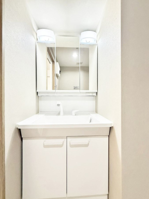 ���ʑ�E���ʏ� �������������Ő������̂�����ʏ�