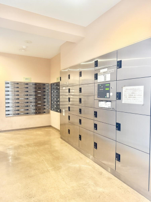 ̑ oɕ֗AłSȑzBOXI