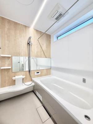 ���� �����������������F�����̕ǖʁA������芰����o�X���[��