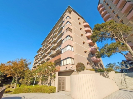 nOώʐ^ OρV炵n܂ꏊŁAƑJ[߂