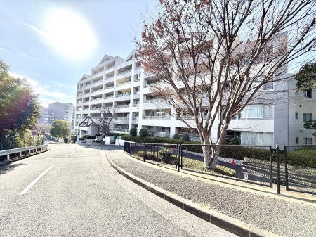 ���n�O�ώʐ^ �O�ρ��V��������̑�����������A�S�n�悢��