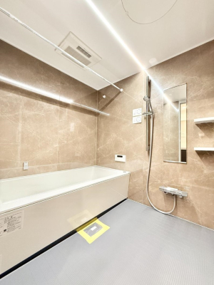 ���� �����������������F�����̕ǖʁA������芰����o�X���[��