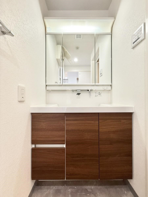 ���ʑ�E���ʏ� ���������̏������X���[�Y�ɂł���L���ł�