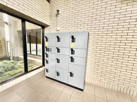 ̑ oɕ֗AłSȑzBOXI