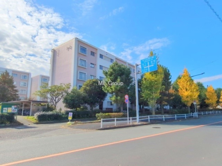 nOώʐ^ OρDȃCAĂ܂