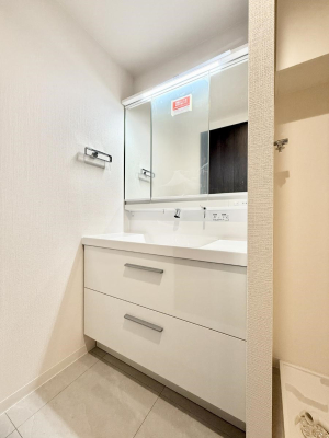 ���ʑ�E���ʏ� �������������Ő������̂�����ʏ�