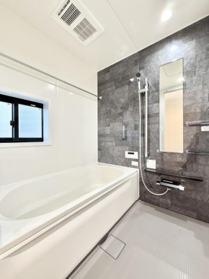 ���� �����������������F�����̕ǖʁA������芰����o�X���[��