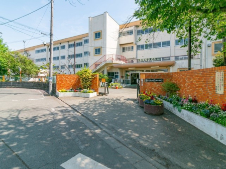 ���ӊ� ���w�Z 590m �����q�s���������q�����w�Z