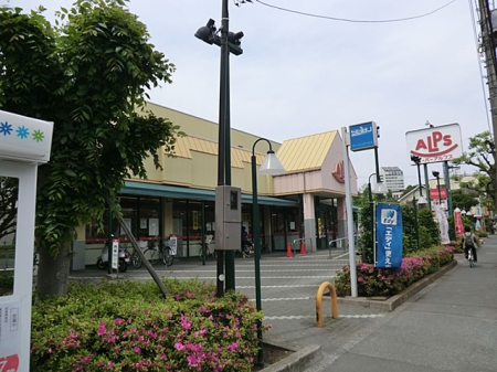 ���ӊ� ���w�Z 800m �����q�s�����Z�����w�Z