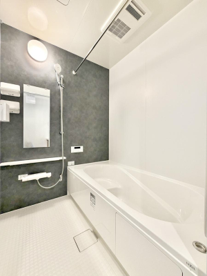 ���� �����������F�����̕ǖʁA������芰����o�X���[��