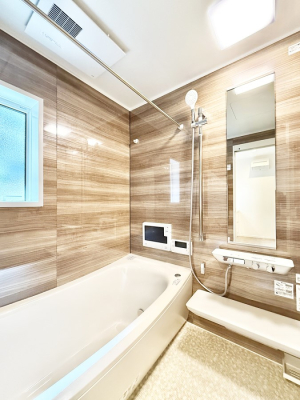 ���� �����������������F�����̕ǖʁA������芰����o�X���[��