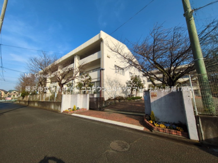 ���ӊ� ���w�Z 1730m ����s���H�����w�Z