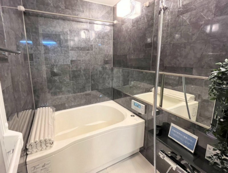 ���� �����������������F�����̕ǖʁA������芰����o�X���[��