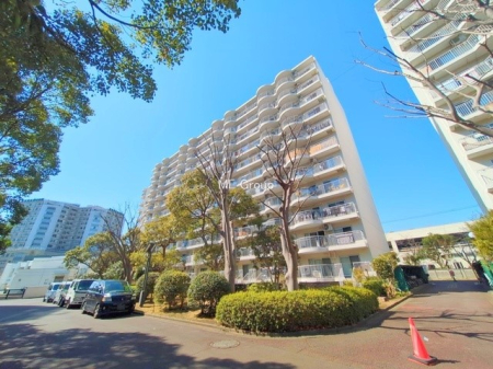 ���n�O�ώʐ^ �O��