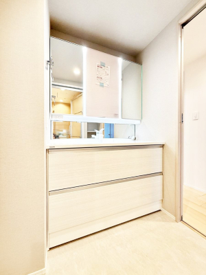 ���ʑ�E���ʏ� �������������Ő������̂�����ʏ�