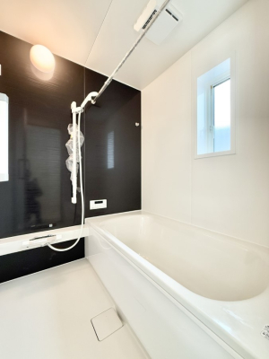 ���� �����������������F�����̕ǖʁA������芰����o�X���[��