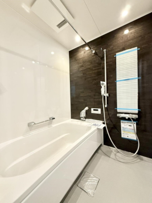 ���� �����������������F�����̕ǖʁA������芰����o�X���[��