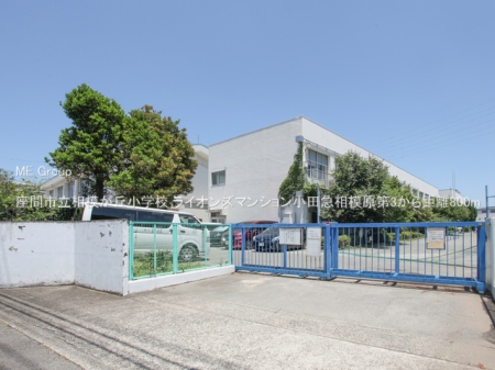 ���ӊ� ���w�Z 800m ���Ԏs�����͂��u���w�Z