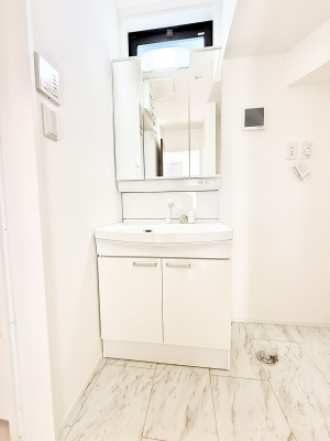 ���ʑ�E���ʏ� ���������̏������X���[�Y�ɂł���L���ł�