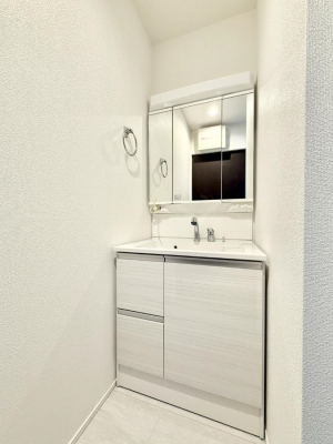 ���ʑ�E���ʏ� ���������̏������X���[�Y�ɂł���L���ł�