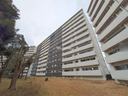 ���n�O�ώʐ^ ���V������炵���n�܂�ꏊ�ŁA�Ƒ����J��[�߂�