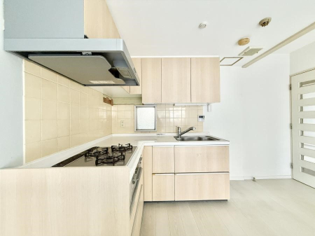 �L�b�`�� �������L���C�ɕЕt���A�g���₷���L�b�`��