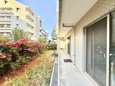 ���̑� ����